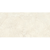 EXPANSE - 12X24 DYN, RISTORI FOG, MATTE